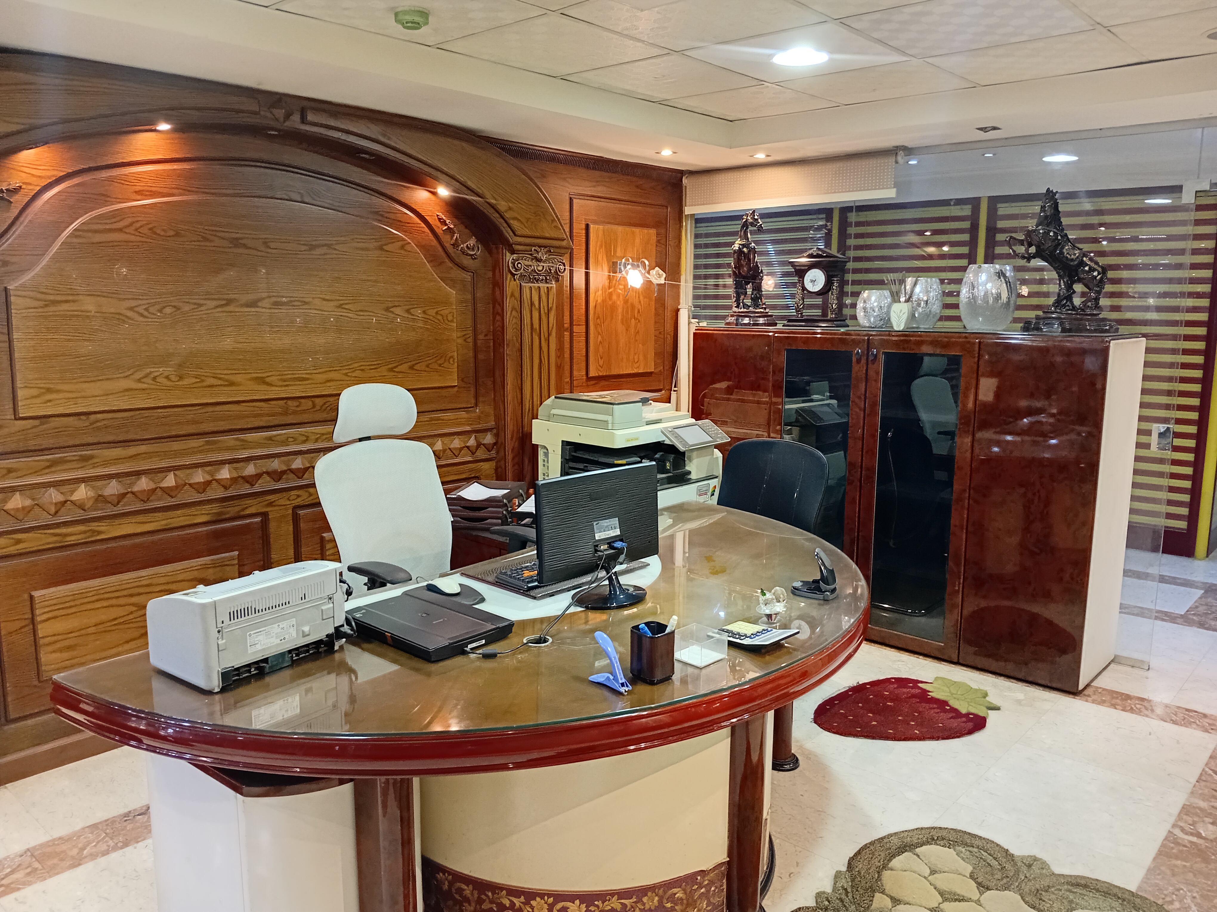 شركة المير للبذور ومبيدات الحشرية