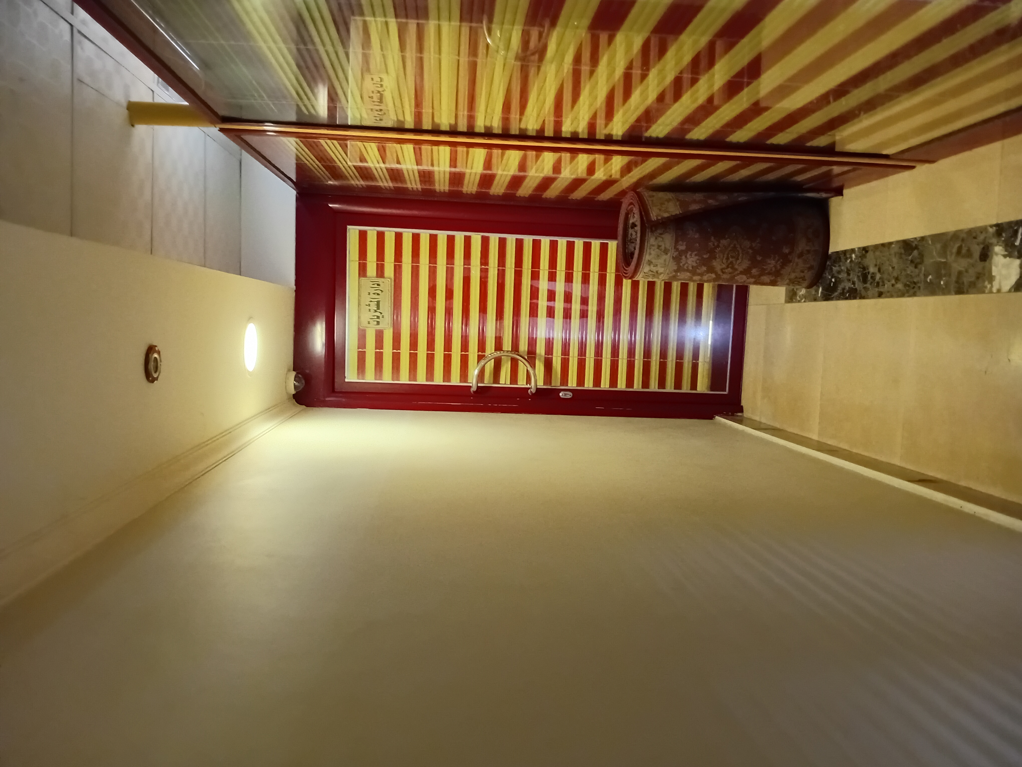 شركة المير للبذور ومبيدات الحشرية