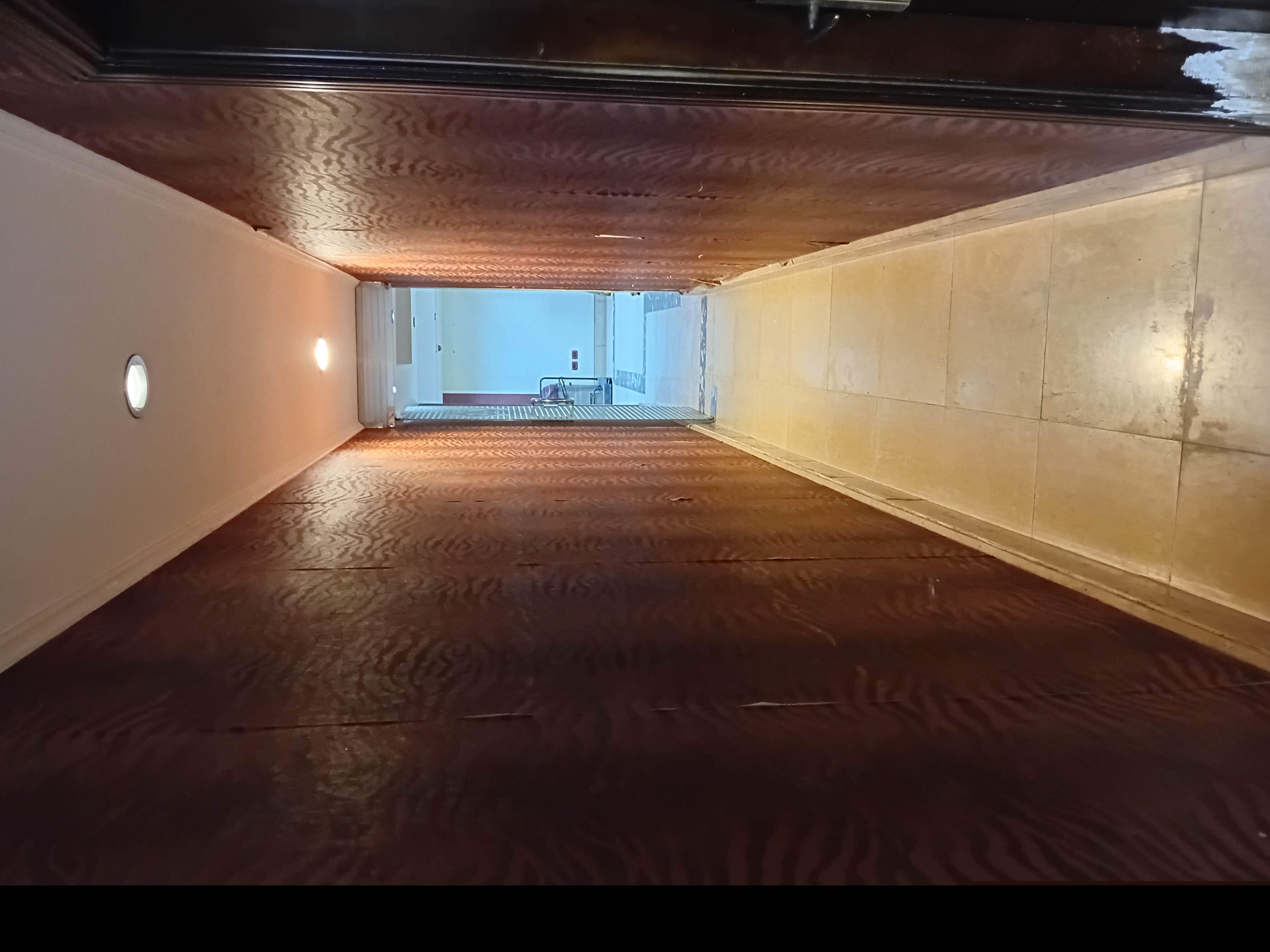 شركة المير للبذور ومبيدات الحشرية