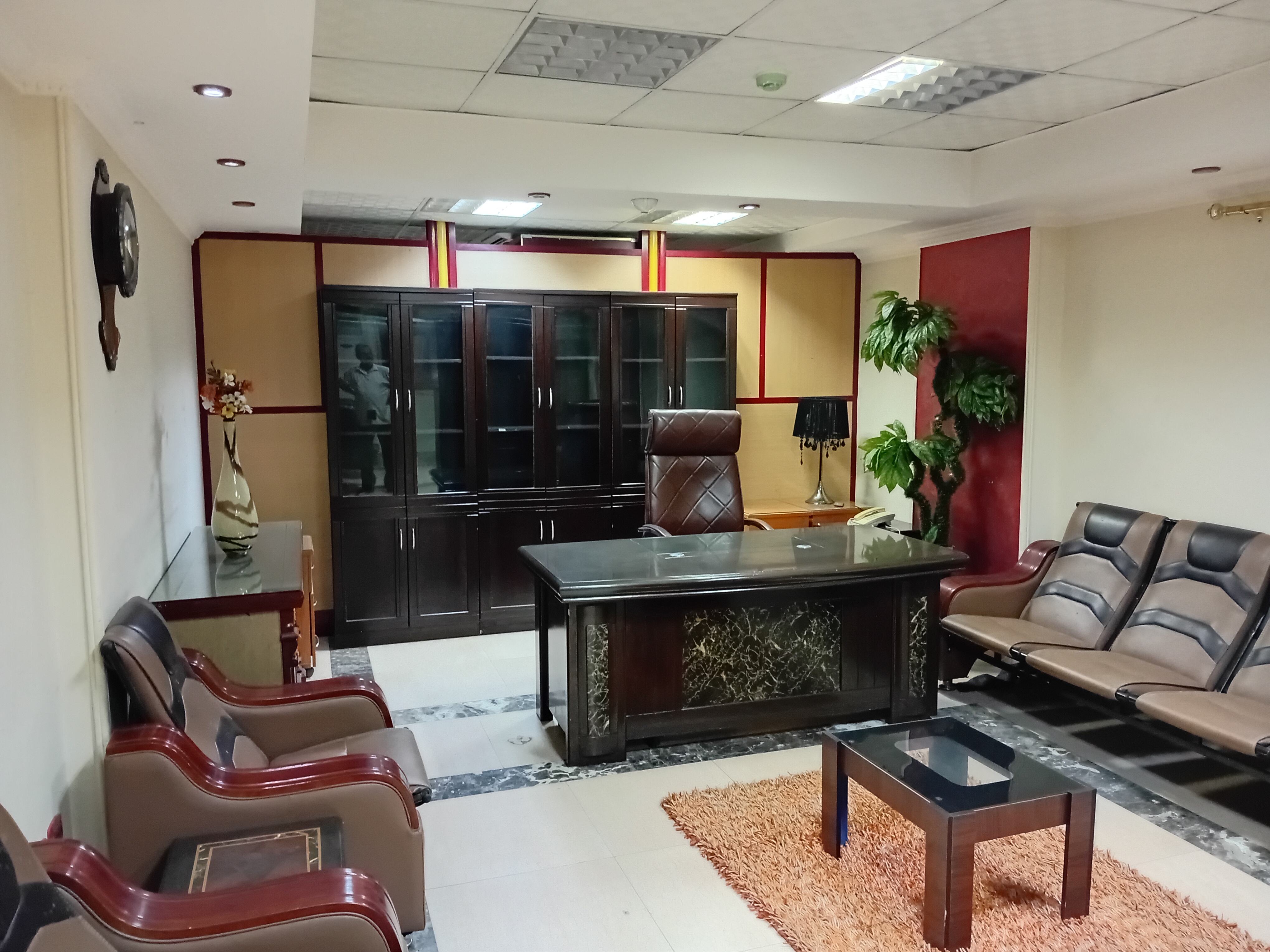 شركة المير للبذور ومبيدات الحشرية