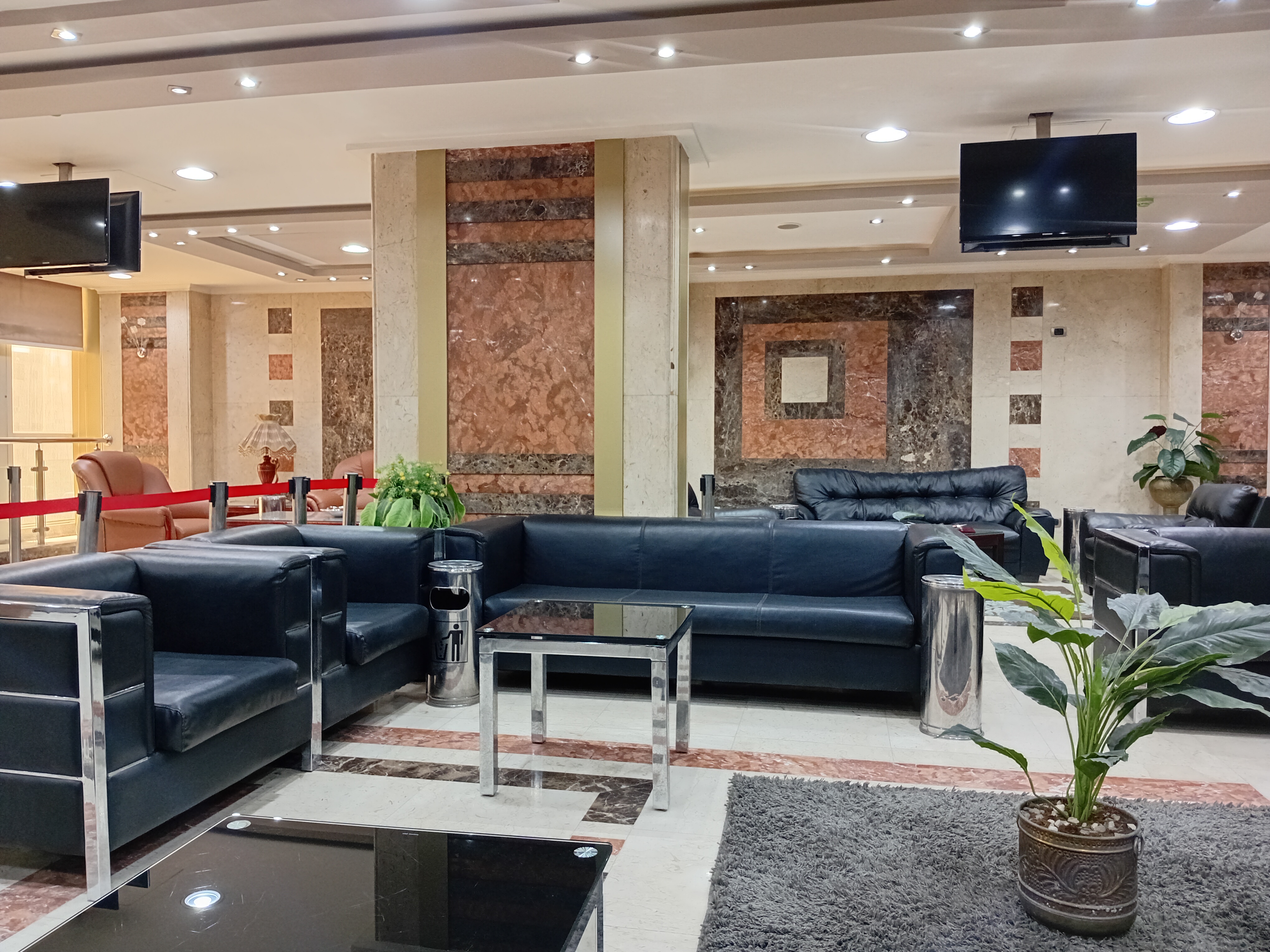 شركة المير للبذور ومبيدات الحشرية