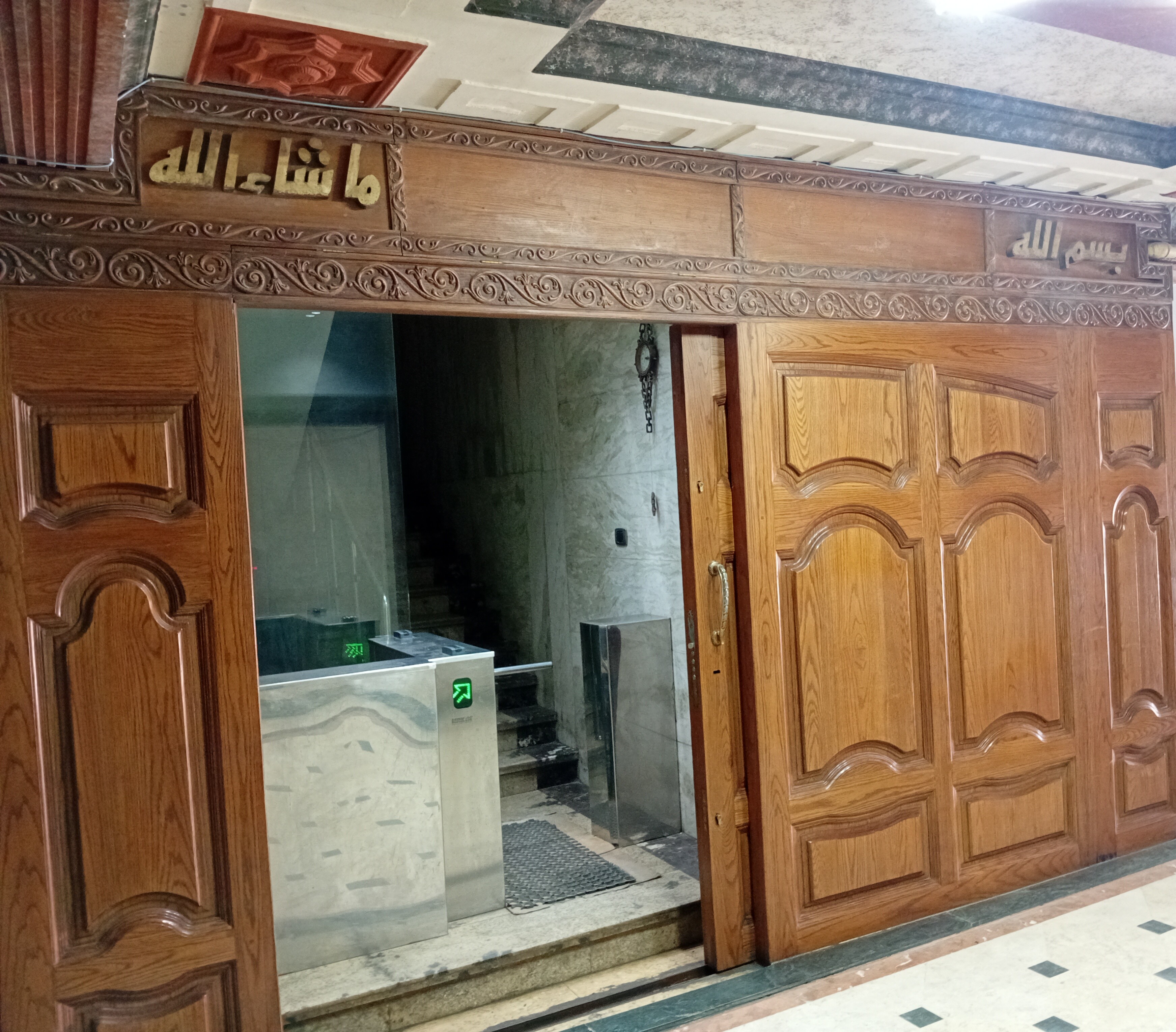 شركة المير للبذور ومبيدات الحشرية