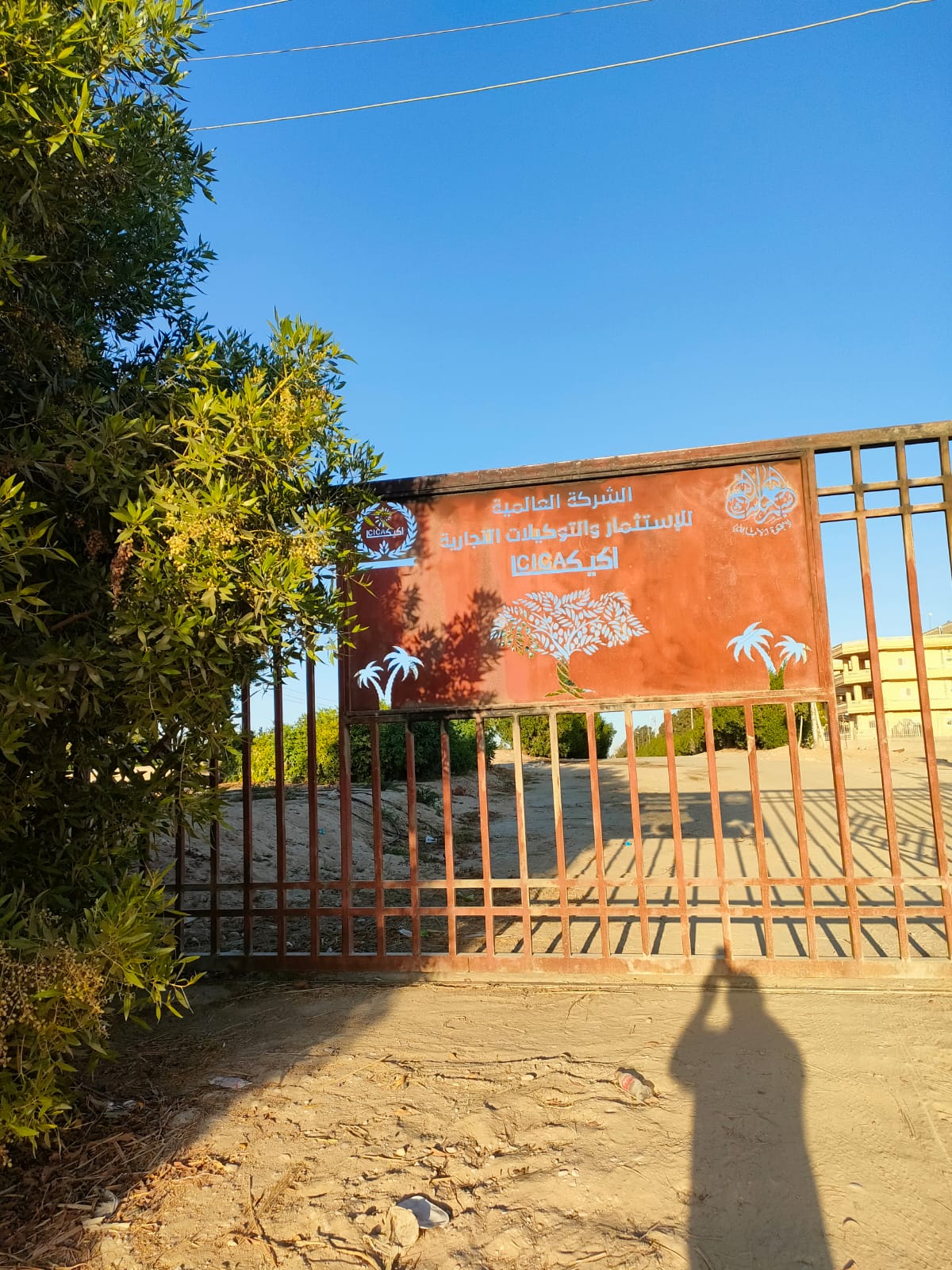 مزرعة السويس